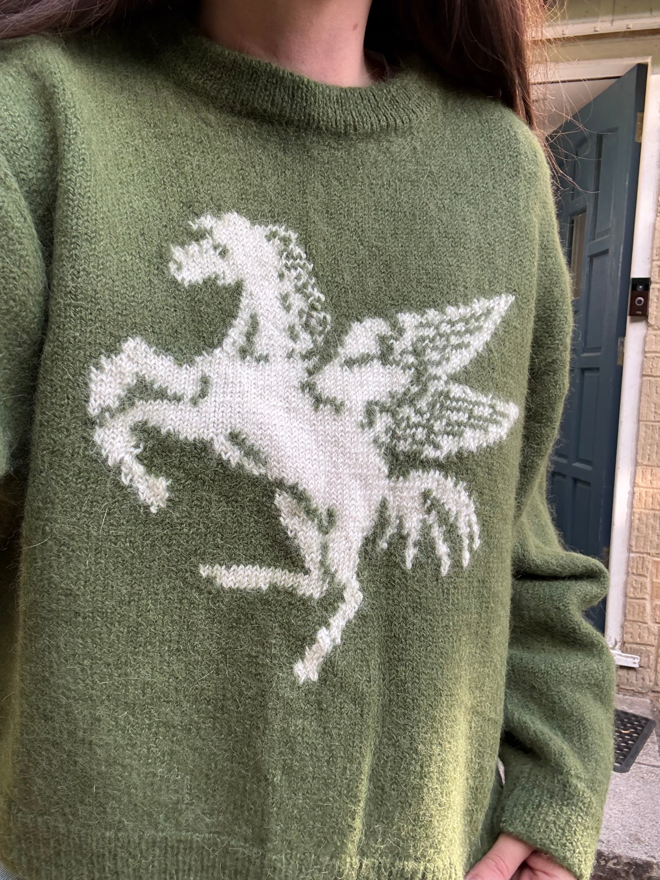 Pegasus jumper