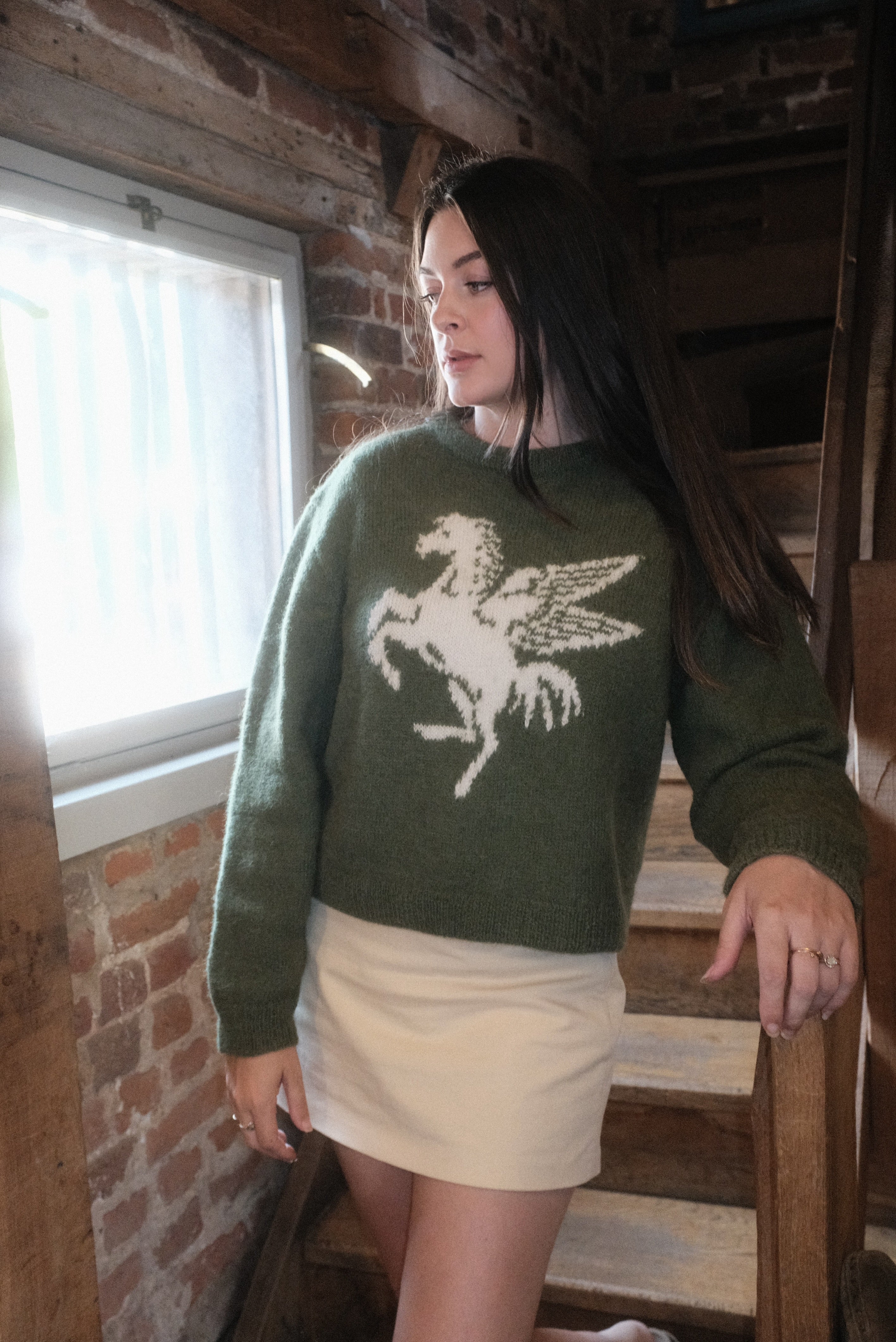 Pegasus jumper