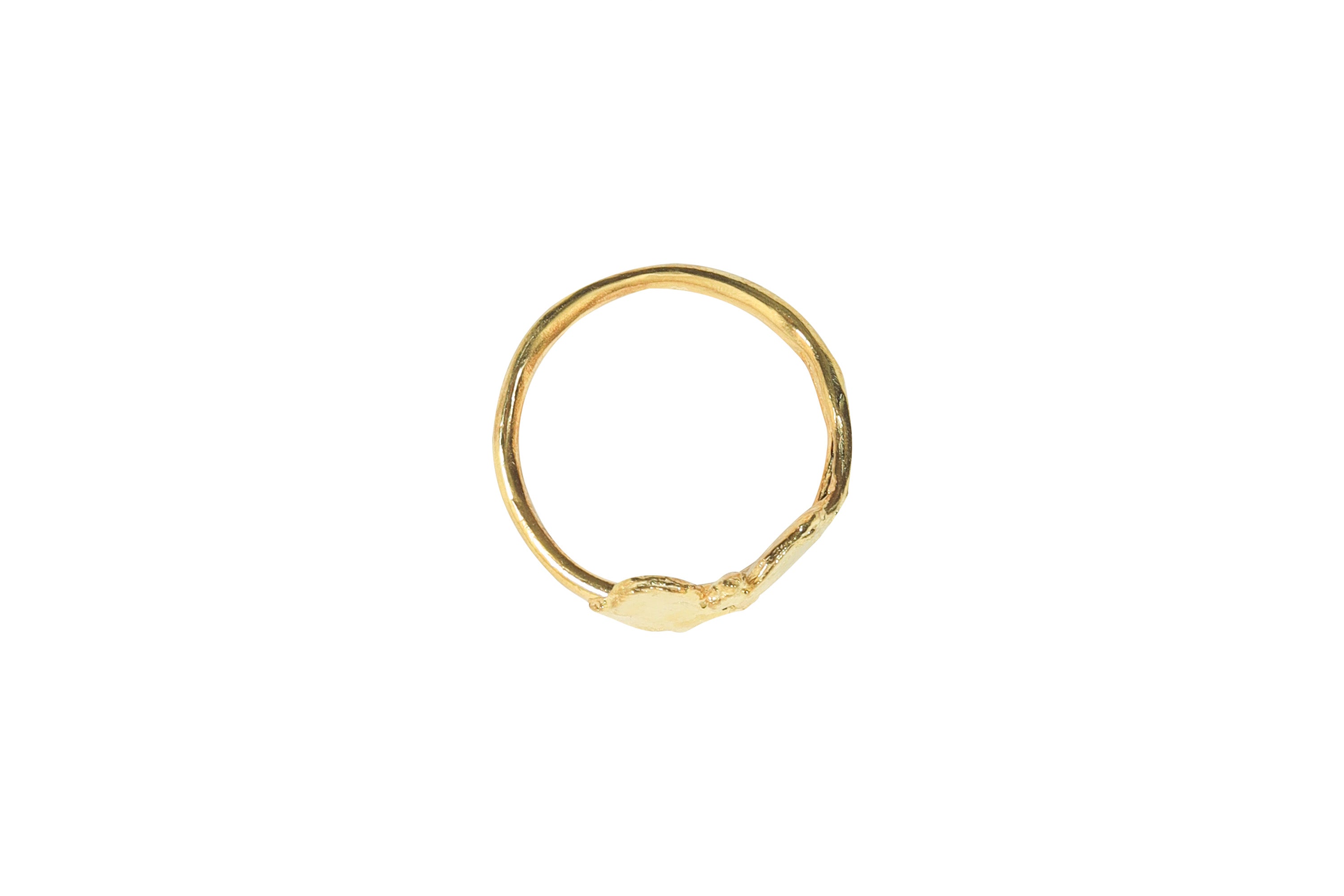 Painting with Flowers, Ring