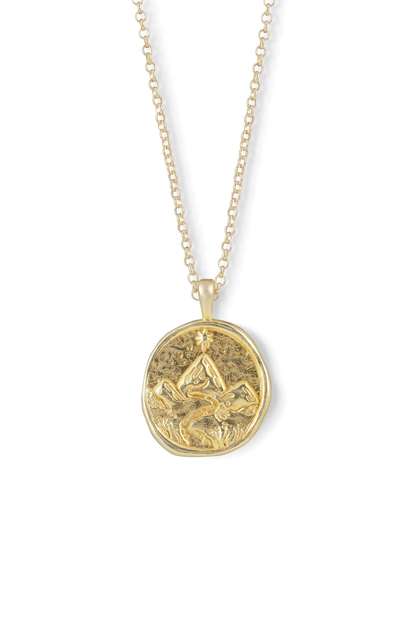 Capricorn Zodiac Coin Pendant Necklace